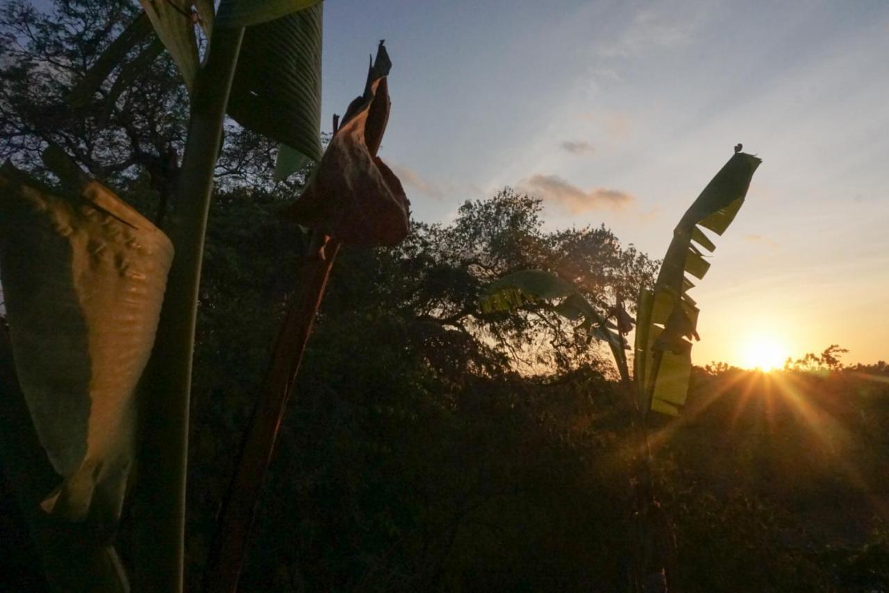 Kibu Kauh Sunrise Cottage Sakti المظهر الخارجي الصورة